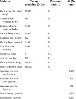 Biomechanical tests and finite element analyses of pelvic stability using bilateral single iliac screws with different channels in lumbo-iliac fixation